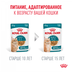 Royal Canin Ageing 11+ 85гр x 12шт (желе для кошек старше 11 лет) Royal Canin Ageing 11+ 85гр x 12шт (желе для кошек старше 11 лет)