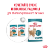 Royal Canin Ageing 11+ 85гр x 12шт (желе для кошек старше 11 лет) Royal Canin Ageing 11+ 85гр x 12шт (желе для кошек старше 11 лет)