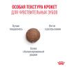 Royal Canin Ageing 11+ Sterilized (для кошек старше 11 лет)