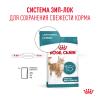 Royal Canin Ageing 15+ (для кошек старше 15 лет) Royal Canin Ageing 15+ (для кошек старше 15 лет)