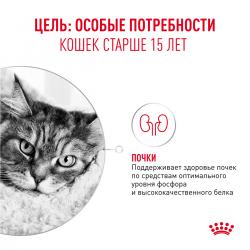 Royal Canin Ageing 15+ (для кошек старше 15 лет) Royal Canin Ageing 15+ (для кошек старше 15 лет)