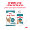 Royal Canin Ageing 15+ (для кошек старше 15 лет) Royal Canin Ageing 15+ (для кошек старше 15 лет)