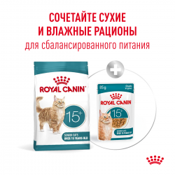 Royal Canin Ageing 15+ (для кошек старше 15 лет) Royal Canin Ageing 15+ (для кошек старше 15 лет)
