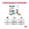 Royal Canin Ageing 15+ (для кошек старше 15 лет) Royal Canin Ageing 15+ (для кошек старше 15 лет)