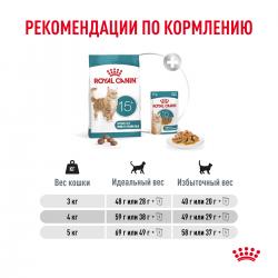 Royal Canin Ageing 15+ (для кошек старше 15 лет) Royal Canin Ageing 15+ (для кошек старше 15 лет)