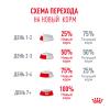 Royal Canin Ageing 15+ (для кошек старше 15 лет) Royal Canin Ageing 15+ (для кошек старше 15 лет)