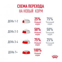 Royal Canin Ageing 15+ (для кошек старше 15 лет) Royal Canin Ageing 15+ (для кошек старше 15 лет)