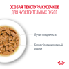 Royal Canin Ageing 15+ 85г х 12шт (соус для кошек старше 15 лет) Royal Canin Ageing 15+ 85г х 12шт (соус для кошек старше 15 лет)