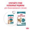 Royal Canin Ageing 15+ 85г х 12шт (соус для кошек старше 15 лет) Royal Canin Ageing 15+ 85г х 12шт (соус для кошек старше 15 лет)