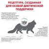 Royal Canin Anallergenic Feline (диета для кошек с тяжелой формой пищевой аллергии/непереносимости) 