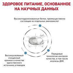 Royal Canin Anallergenic Feline (диета для кошек с тяжелой формой пищевой аллергии/непереносимости) 