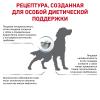 Royal Canin Anallergenic (для собак при пищевой аллергии или непереносимости) 