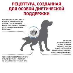 Royal Canin Anallergenic (для собак при пищевой аллергии или непереносимости) 