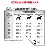Royal Canin Anallergenic (для собак при пищевой аллергии или непереносимости) 