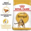 Royal Canin Bengal (для взрослых бенгальских кошек старше 12 месяцев)