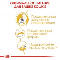 Royal Canin Bengal (для взрослых бенгальских кошек старше 12 месяцев)