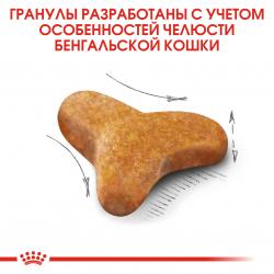 Royal Canin Bengal (для взрослых бенгальских кошек старше 12 месяцев)