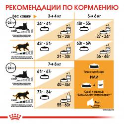 Royal Canin Bengal (для взрослых бенгальских кошек старше 12 месяцев)