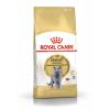 Royal Canin British Shorthair Adult (для взрослых британских короткошерстных кошек) Royal Canin British Shorthair Adult (для взрослых британских короткошерстных кошек)