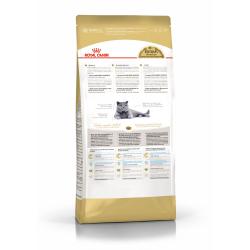 Royal Canin British Shorthair Adult (для взрослых британских короткошерстных кошек) Royal Canin British Shorthair Adult (для взрослых британских короткошерстных кошек)