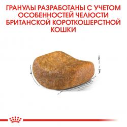 Royal Canin British Shorthair Adult (для взрослых британских короткошерстных кошек) Royal Canin British Shorthair Adult (для взрослых британских короткошерстных кошек)