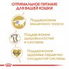 Royal Canin British Shorthair Adult (для взрослых британских короткошерстных кошек) Royal Canin British Shorthair Adult (для взрослых британских короткошерстных кошек)