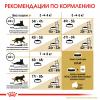 Royal Canin British Shorthair Adult (для взрослых британских короткошерстных кошек) Royal Canin British Shorthair Adult (для взрослых британских короткошерстных кошек)