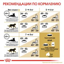Royal Canin British Shorthair Adult (для взрослых британских короткошерстных кошек) Royal Canin British Shorthair Adult (для взрослых британских короткошерстных кошек)