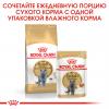 Royal Canin British Shorthair 85г х 28шт (влажный корм для британцев старше 12 месяцев) Royal Canin British Shorthair 85г х 28шт (влажный корм для британцев старше 12 месяцев)