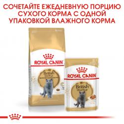 Royal Canin British Shorthair 85г х 28шт (влажный корм для британцев старше 12 месяцев) Royal Canin British Shorthair 85г х 28шт (влажный корм для британцев старше 12 месяцев)