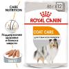 Royal Canin Coat Care (паштет для взрослых собак, с тусклой и сухой шерстью) 85г х 12шт Royal Canin Coat Care (паштет для взрослых собак, с тусклой и сухой шерстью) 85г х 12шт