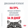 Royal Canin Dental Feline (для гигиены полости рта) Royal Canin Dental Feline (для гигиены полости рта)