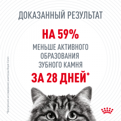 Royal Canin Dental Feline (для гигиены полости рта) Royal Canin Dental Feline (для гигиены полости рта)