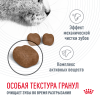 Royal Canin Dental Feline (для гигиены полости рта) Royal Canin Dental Feline (для гигиены полости рта)