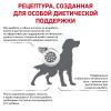 Royal Canin Diabetic Canine (для собак при сахарном диабете)