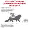 Royal Canin Diabetic Feline (для кошек при сахарном диабете)