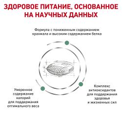 Royal Canin Diabetic Feline (для кошек при сахарном диабете)