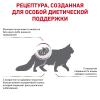 Royal Canin Early Renal (корм для кошек при ранней стадии почечной недостаточности)
