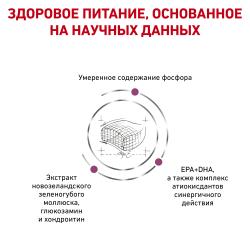 Royal Canin Early Renal (корм для кошек при ранней стадии почечной недостаточности)