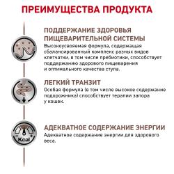 Royal Canin G-I Fibre Response (Сухой диетический корм для кошек при запорах)