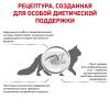 Royal Canin Gastro Intestinal Moderate Feline  (для кошек при нарушении пищеварения)