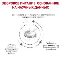 Royal Canin Gastro Intestinal Moderate Feline  (для кошек при нарушении пищеварения)