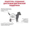Royal Canin Gastro Intestinal Low Fat Small Dog (с ограниченным содержанием жиров для собак мелких пород при нарушении пищеварения)