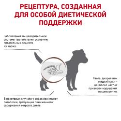 Royal Canin Gastro Intestinal Low Fat Small Dog (с ограниченным содержанием жиров для собак мелких пород при нарушении пищеварения)