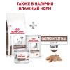 Royal Canin Gastro Intestinal Low Fat Small Dog (с ограниченным содержанием жиров для собак мелких пород при нарушении пищеварения)