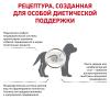 Royal Canin Gastrointestinal Puppy (для щенков при расстройствах пищеварения)