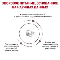 Royal Canin Gastrointestinal Puppy (для щенков при расстройствах пищеварения)