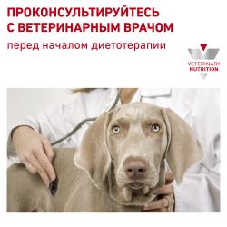 Royal Canin Gastrointestinal Puppy (для щенков при расстройствах пищеварения)