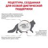 Royal Canin Gastrointestinal Hairball (кошкам при нарушениях пищеварения, вызванного наличием волосяных комочков) Royal Canin Gastrointestinal Hairball (кошкам при нарушениях пищеварения, вызванного наличием волосяных комочков)