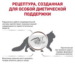 Royal Canin Gastrointestinal Hairball (кошкам при нарушениях пищеварения, вызванного наличием волосяных комочков) Royal Canin Gastrointestinal Hairball (кошкам при нарушениях пищеварения, вызванного наличием волосяных комочков)